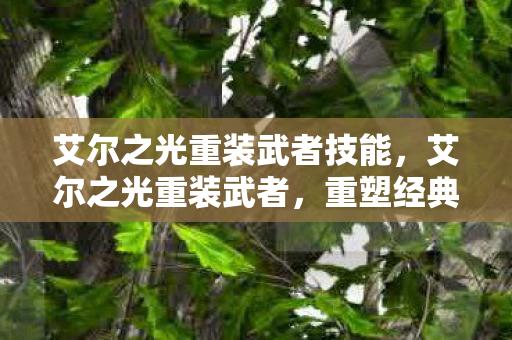 艾尔之光重装武者技能，艾尔之光重装武者，重塑经典，再战巅峰