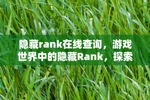 隐藏rank在线查询，游戏世界中的隐藏Rank，探索玩家实力与游戏平衡的神秘维度