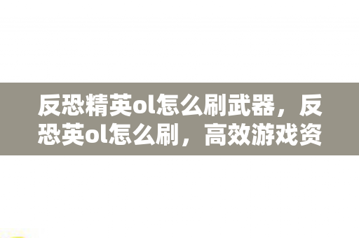 反恐精英ol怎么刷武器，反恐英ol怎么刷，高效游戏资源获取攻略