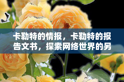 卡勒特的情报，卡勒特的报告文书，探索网络世界的另一面