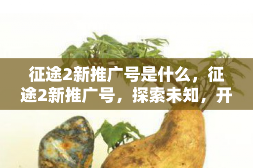 征途2新推广号是什么，征途2新推广号，探索未知，开启全新冒险之旅