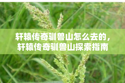 轩辕传奇驯兽山怎么去的，轩辕传奇驯兽山探索指南