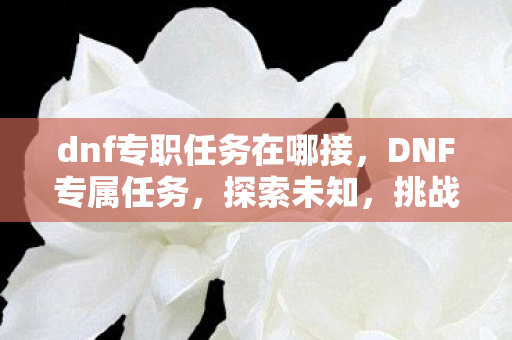 dnf专职任务在哪接，DNF专属任务，探索未知，挑战极限