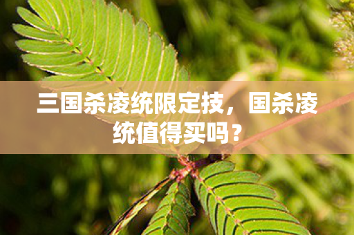 三国杀凌统限定技，国杀凌统值得买吗？