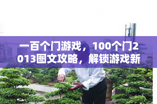 一百个门游戏，100个门2013图文攻略，解锁游戏新境界