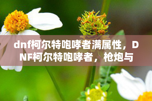 dnf柯尔特咆哮者满属性，DNF柯尔特咆哮者，枪炮与荣耀的交响曲
