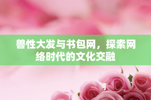 兽性大发与书包网，探索网络时代的文化交融