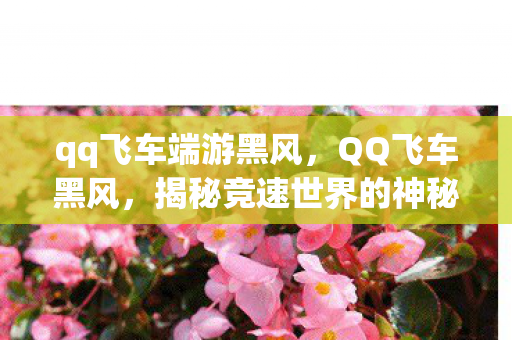 qq飞车端游黑风，QQ飞车黑风，揭秘竞速世界的神秘传说