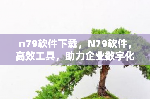 n79软件下载，N79软件，高效工具，助力企业数字化转型