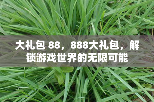 大礼包 88，888大礼包，解锁游戏世界的无限可能