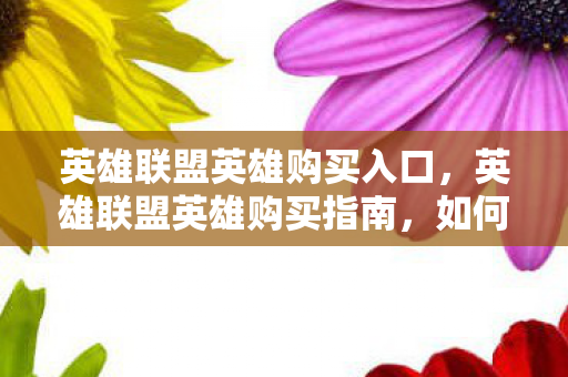 英雄联盟英雄购买入口，英雄联盟英雄购买指南，如何合理投资你的游戏角色