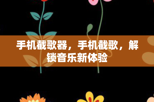 手机截歌器，手机截歌，解锁音乐新体验