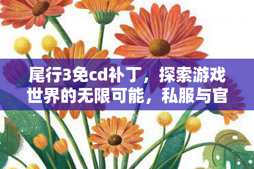 尾行3免cd补丁，探索游戏世界的无限可能，私服与官方服务器的独特魅力