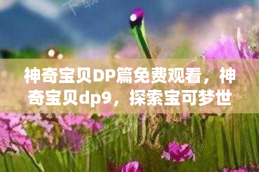 神奇宝贝DP篇免费观看，神奇宝贝dp9，探索宝可梦世界的全新冒险