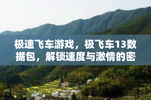 极速飞车游戏，极飞车13数据包，解锁速度与激情的密钥