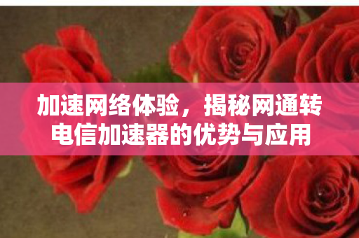 加速网络体验，揭秘网通转电信加速器的优势与应用