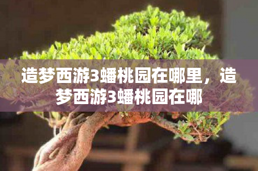 造梦西游3蟠桃园在哪里，造梦西游3蟠桃园在哪