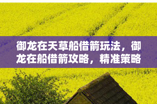 御龙在天草船借箭玩法，御龙在船借箭攻略，精准策略助你箭无虚发