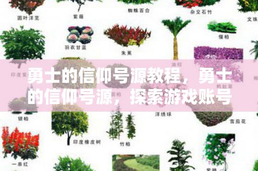 勇士的信仰号源教程，勇士的信仰号源，探索游戏账号的珍贵与保护