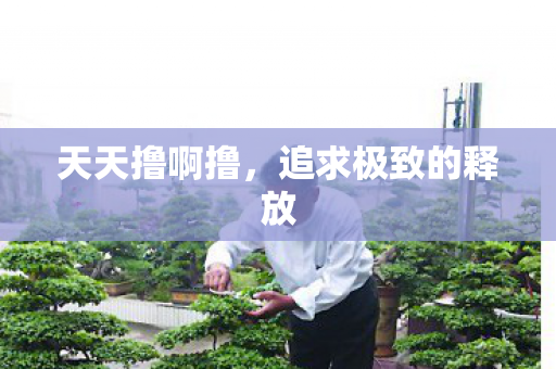 天天撸啊撸，追求极致的释放
