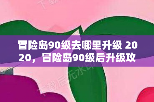 冒险岛90级去哪里升级 2020，冒险岛90级后升级攻略，探索未知，挑战更高境界
