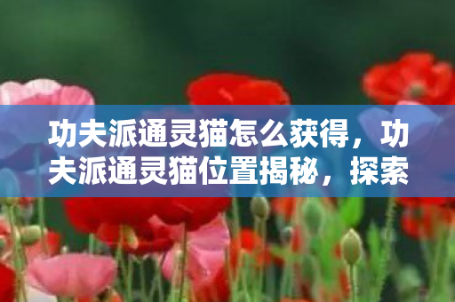 功夫派通灵猫怎么获得，功夫派通灵猫位置揭秘，探索神秘之旅