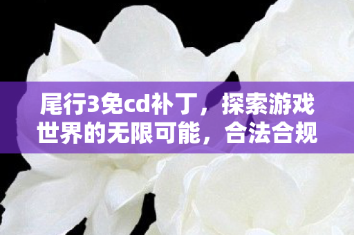 尾行3免cd补丁，探索游戏世界的无限可能，合法合规的私服体验与官方服务的差异解析
