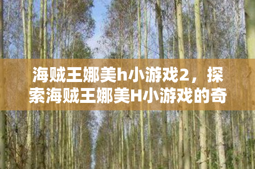 海贼王娜美h小游戏2，探索海贼王娜美H小游戏的奇妙世界