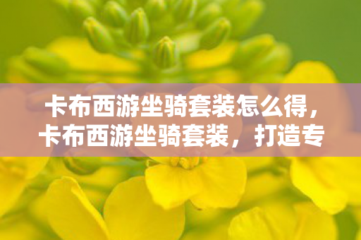 卡布西游坐骑套装怎么得，卡布西游坐骑套装，打造专属骑宠，畅游奇幻世界