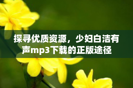 探寻优质资源，少妇白洁有声mp3下载的正版途径