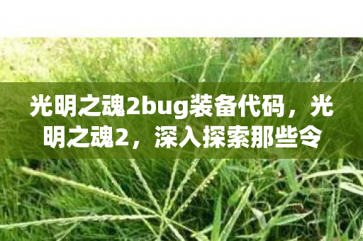 光明之魂2bug装备代码，光明之魂2，深入探索那些令人着迷的BUG