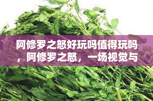 阿修罗之怒好玩吗值得玩吗，阿修罗之怒，一场视觉与操作的盛宴