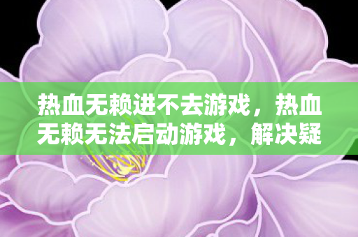 热血无赖进不去游戏，热血无赖无法启动游戏，解决疑难杂症的全面指南