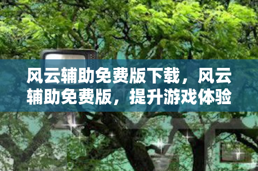 风云辅助免费版下载，风云辅助免费版，提升游戏体验的得力助手
