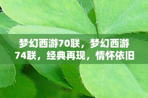 梦幻西游70联，梦幻西游74联，经典再现，情怀依旧