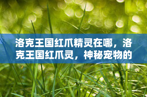 洛克王国红爪精灵在哪，洛克王国红爪灵，神秘宠物的传奇故事