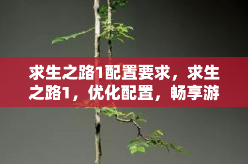 求生之路1配置要求，求生之路1，优化配置，畅享游戏之旅