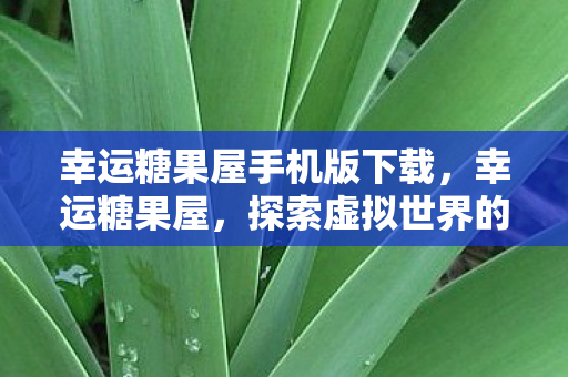 幸运糖果屋手机版下载，幸运糖果屋，探索虚拟世界的奇妙之旅