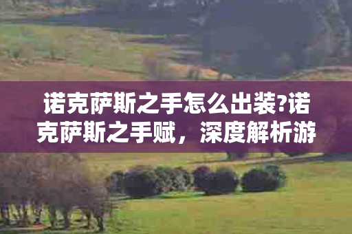 诺克萨斯之手怎么出装?诺克萨斯之手赋，深度解析游戏角色背后的策略与技巧