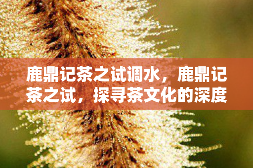 鹿鼎记茶之试调水，鹿鼎记茶之试，探寻茶文化的深度与广度