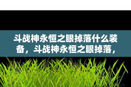 斗战神永恒之眼掉落什么装备，斗战神永恒之眼掉落，揭秘稀有装备的神秘来源
