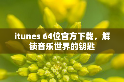 itunes 64位官方下载，解锁音乐世界的钥匙