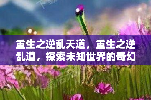 重生之逆乱天道，重生之逆乱道，探索未知世界的奇幻之旅