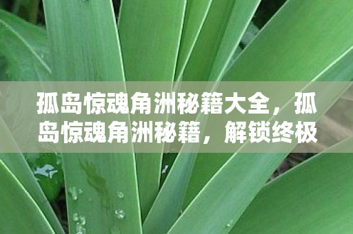 孤岛惊魂角洲秘籍大全，孤岛惊魂角洲秘籍，解锁终极生存与战斗技巧