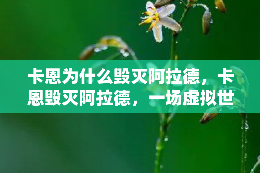 卡恩为什么毁灭阿拉德，卡恩毁灭阿拉德，一场虚拟世界的浩劫