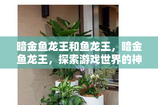 暗金鱼龙王和鱼龙王，暗金鱼龙王，探索游戏世界的神秘守护者