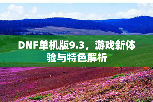 DNF单机版9.3，游戏新体验与特色解析