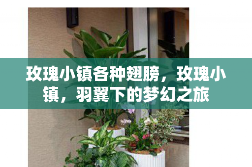 玫瑰小镇各种翅膀，玫瑰小镇，羽翼下的梦幻之旅