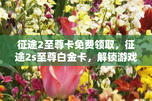 征途2至尊卡免费领取，征途2s至尊白金卡，解锁游戏新世界的钥匙