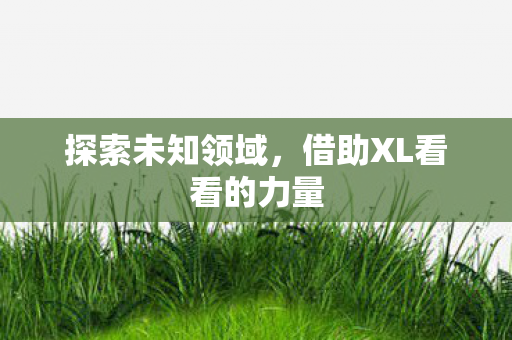 探索未知领域，借助XL看看的力量